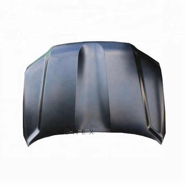 OEM HOOD 5330160760