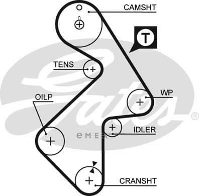 OEM BELT, TIMING 5202XS