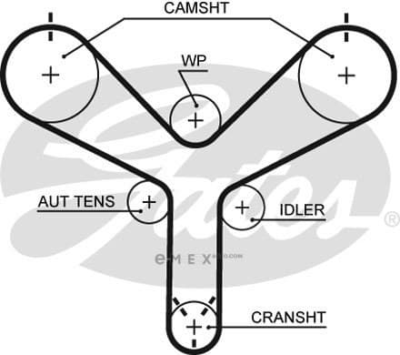 OEM BELT, TIMING T298