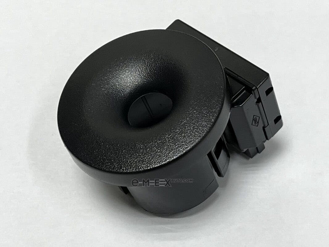 OEM IMMOBILIZER RING 285916556R