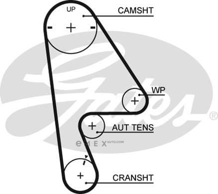 OEM BELT, TIMING 5410XS