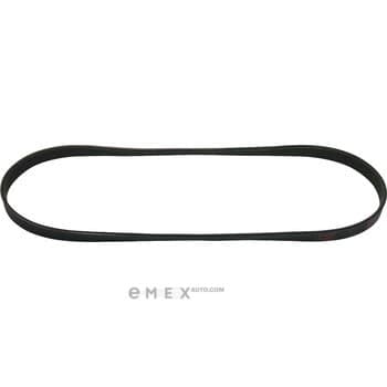 OEM BELT, V 7PK1700