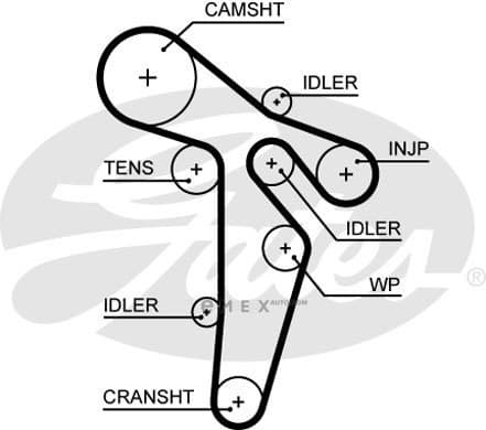 OEM BELT, TIMING 5649XS