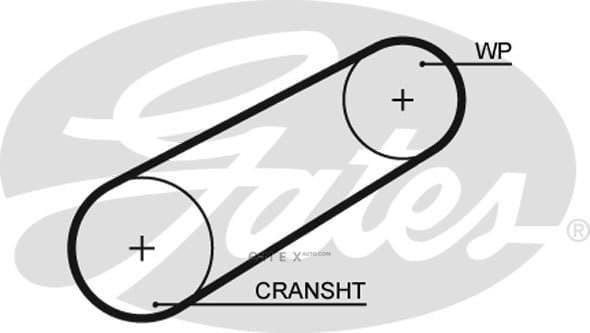 OEM BELT, V 5042