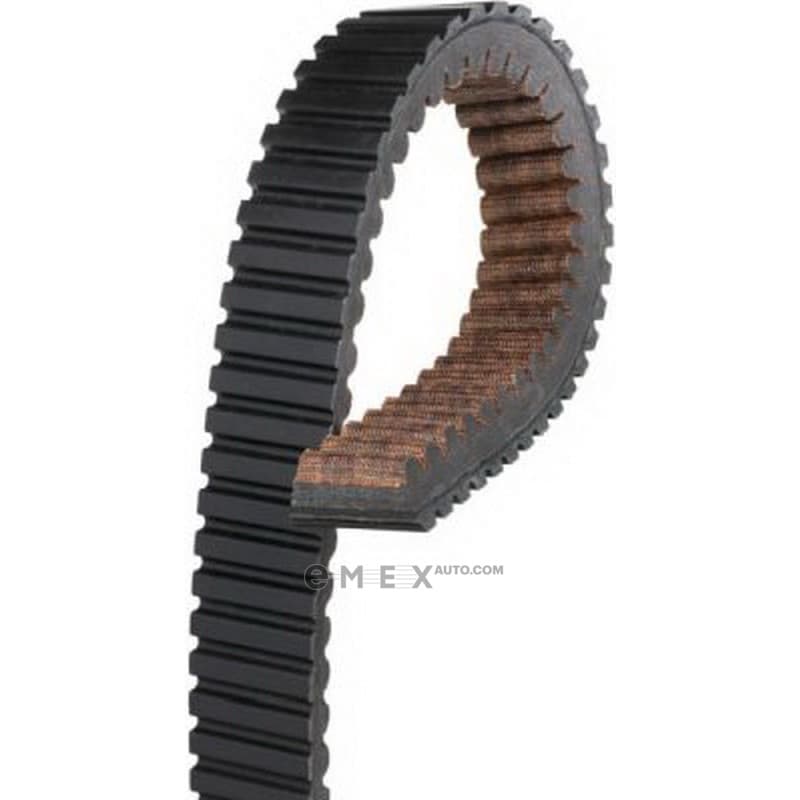 OEM BELT, TIMING 40C3691