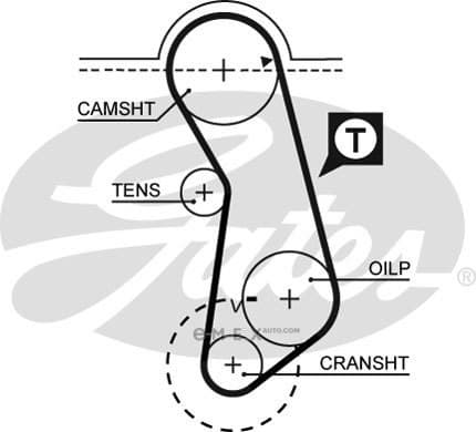 OEM BELT, TIMING 5016