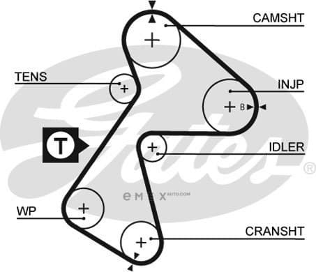 OEM BELT, TIMING 5484XS