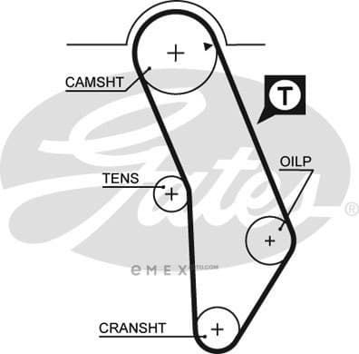 OEM AR-SYNCHRONOUS BELTS 5183XS