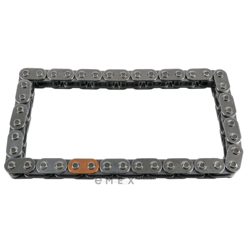 OEM CHAIN ASSY, TIMING 25227