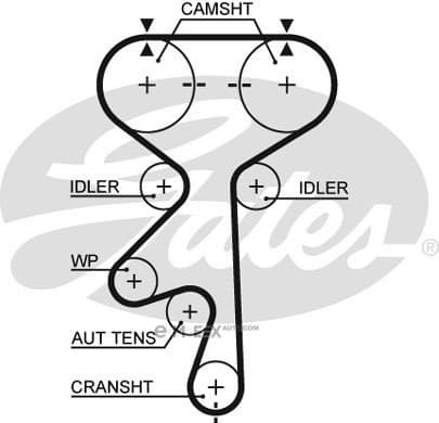 OEM BELT, TIMING 5408XS