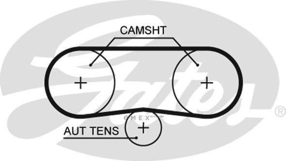 OEM BELT, TIMING 5516XS