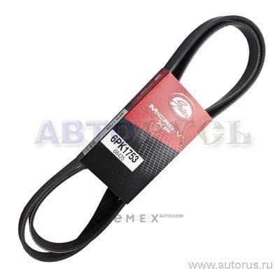 OEM BELT, V 6PK1753