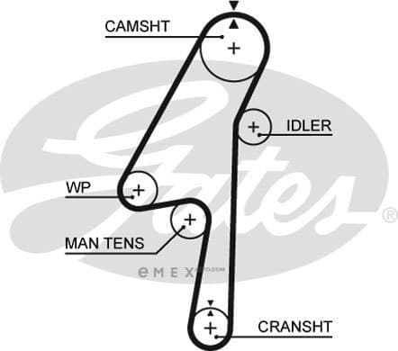 OEM BELT, TIMING 5580XS