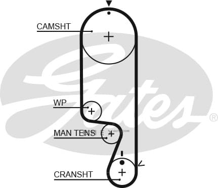 OEM BELT, V 5535XS