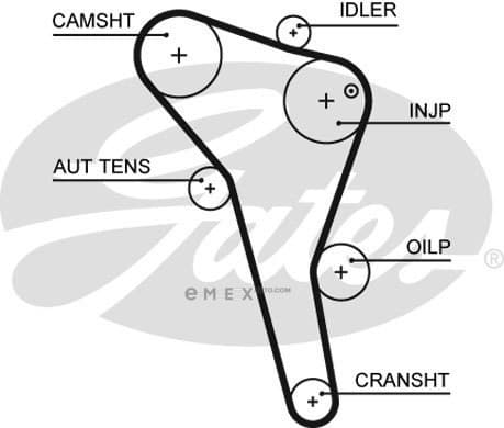 OEM AR-SYNCHRONOUS BELTS 5622XS