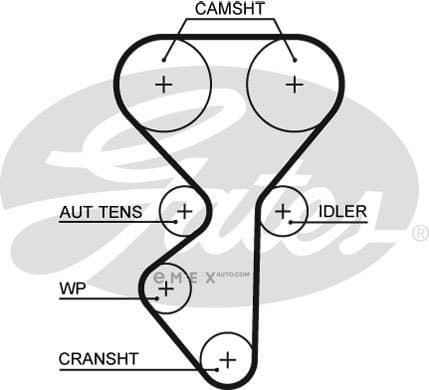 OEM BELT, TIMING 5631XS