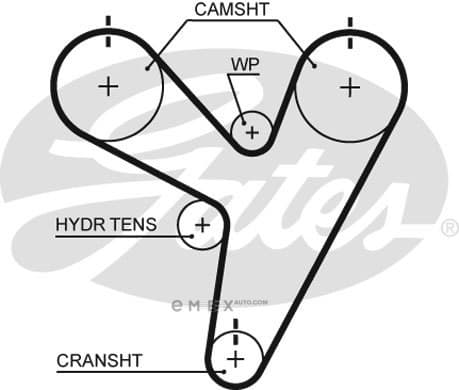 OEM BELT, TIMING 5674XS