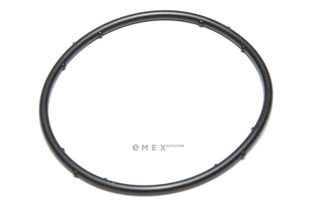 OEM SEAL RING 076117069A