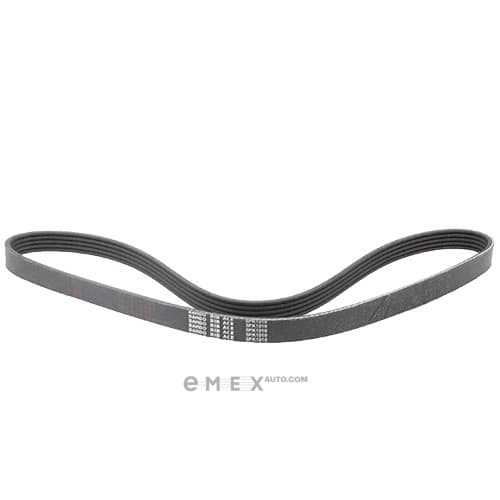 OEM BELT, V 5PK1010