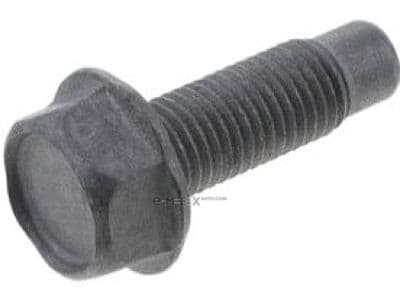 OEM BOLT, METAL 01125N0111