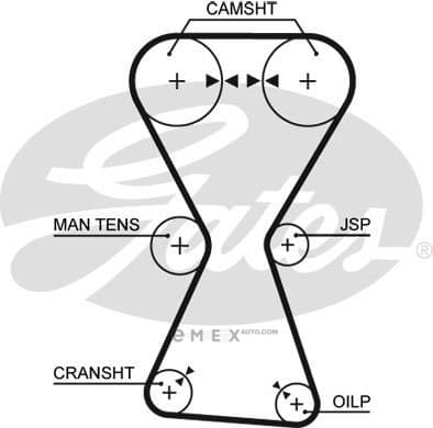 OEM BELT, TIMING 5255XS