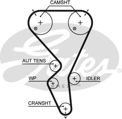 OEM BELT, TIMING 5615XS