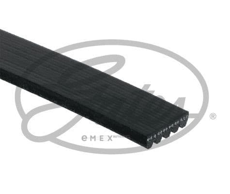 OEM BELT, V 5PK1665