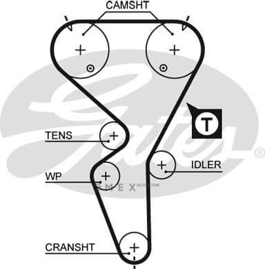 OEM BELT, TIMING 5458XS