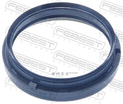 OEM SEAL RING 95MBS61700817X