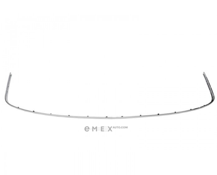 OEM MOLDING 3B58074432ZZ