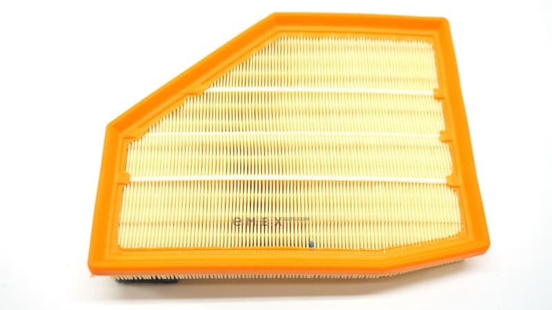 OEM AIR FILTER ELMT-5(G30) 13717852382