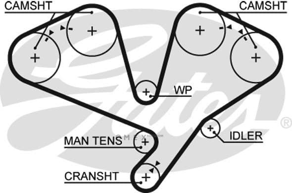 OEM BELT, TIMING 5353XS