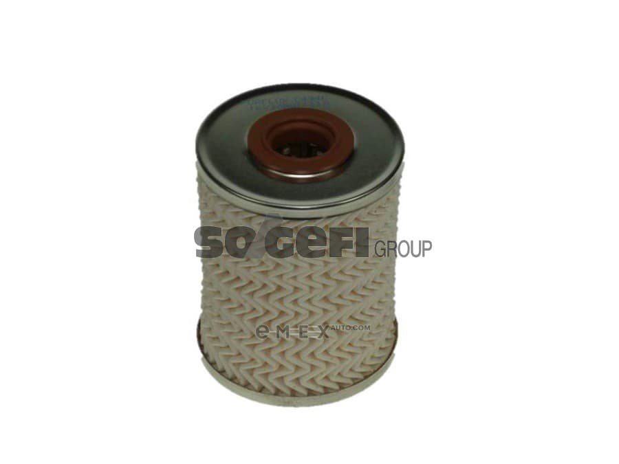 OEM FILTER ASSY, FUEL PUMP C494E