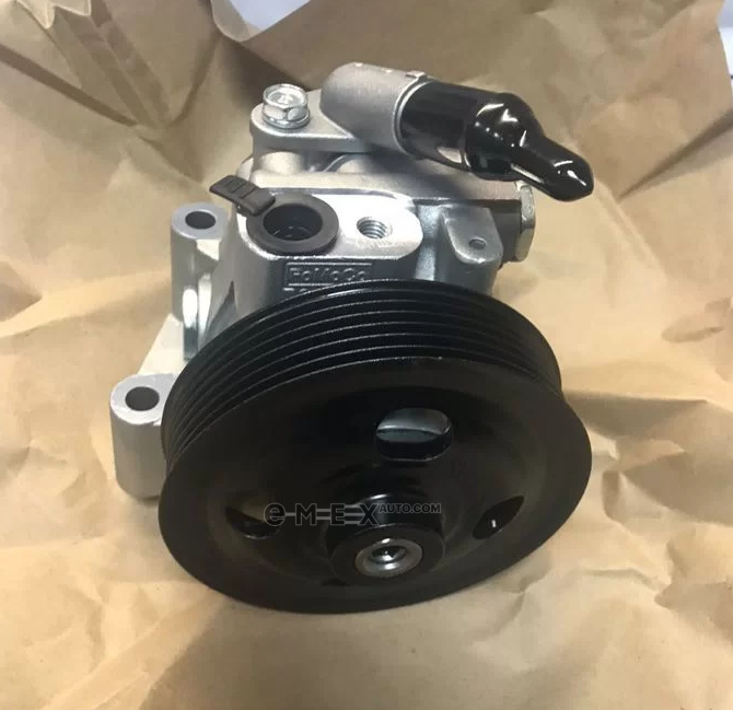 OEM PUMP ASY - POWER STE 1674661