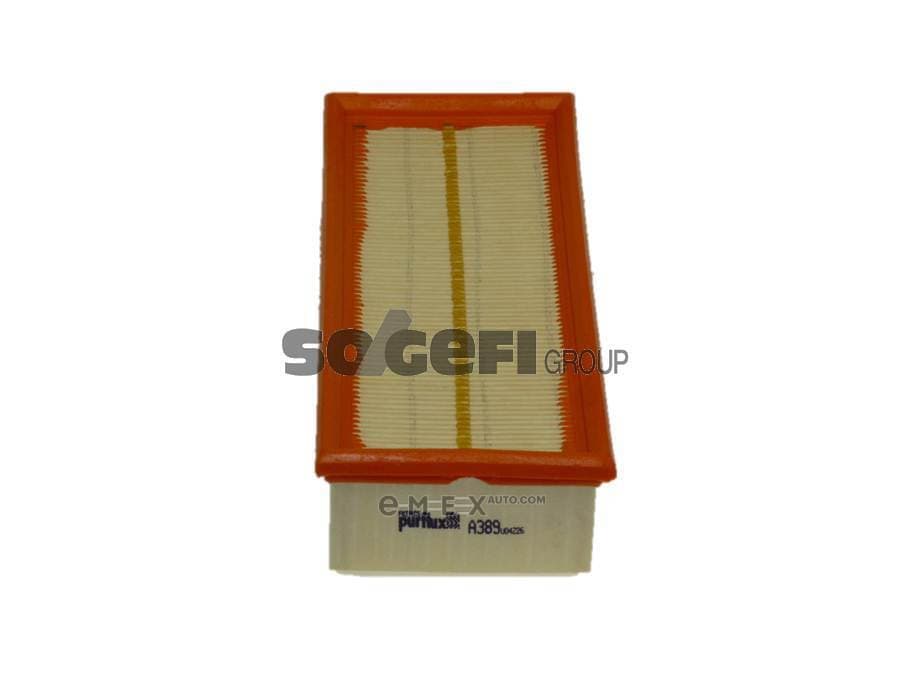 OEM FILTER ASSY, AIR ELEMENT A389