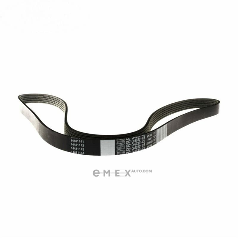 OEM BELT, V 2087581