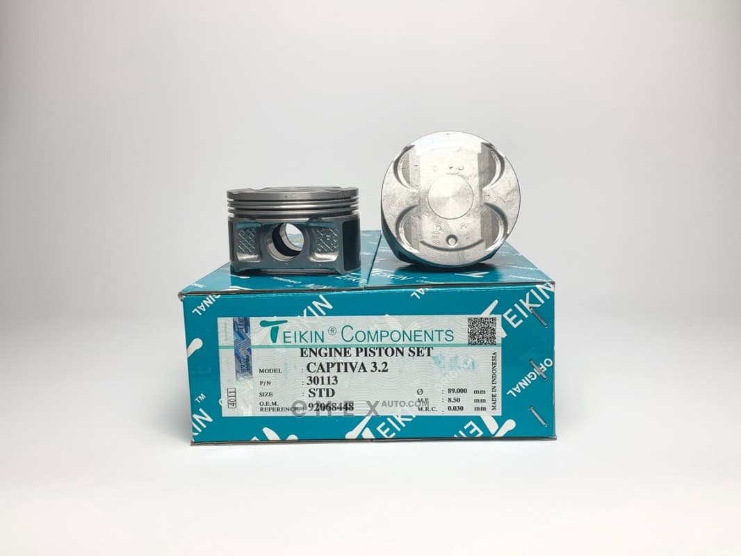 OEM PISTON ASSY 30113STD