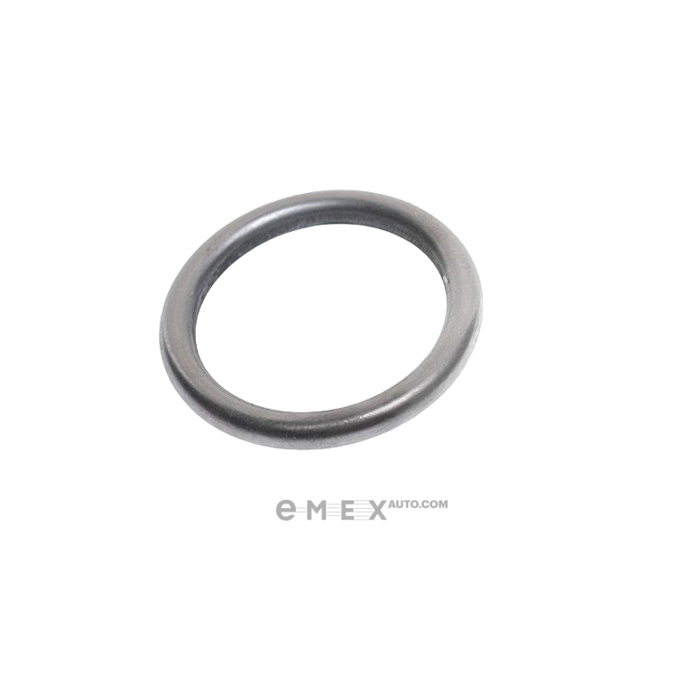 OEM SEAL RING 074870