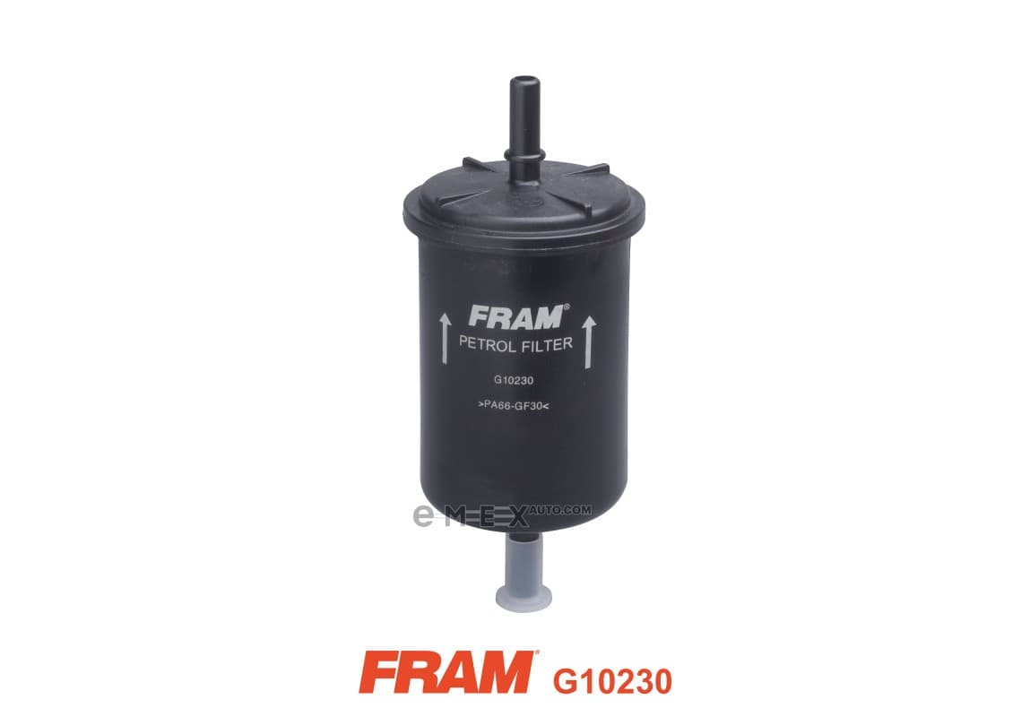 OEM FILTER ASSY, FUEL PUMP G10230