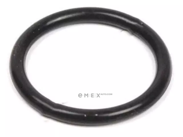 OEM RING 9672124020