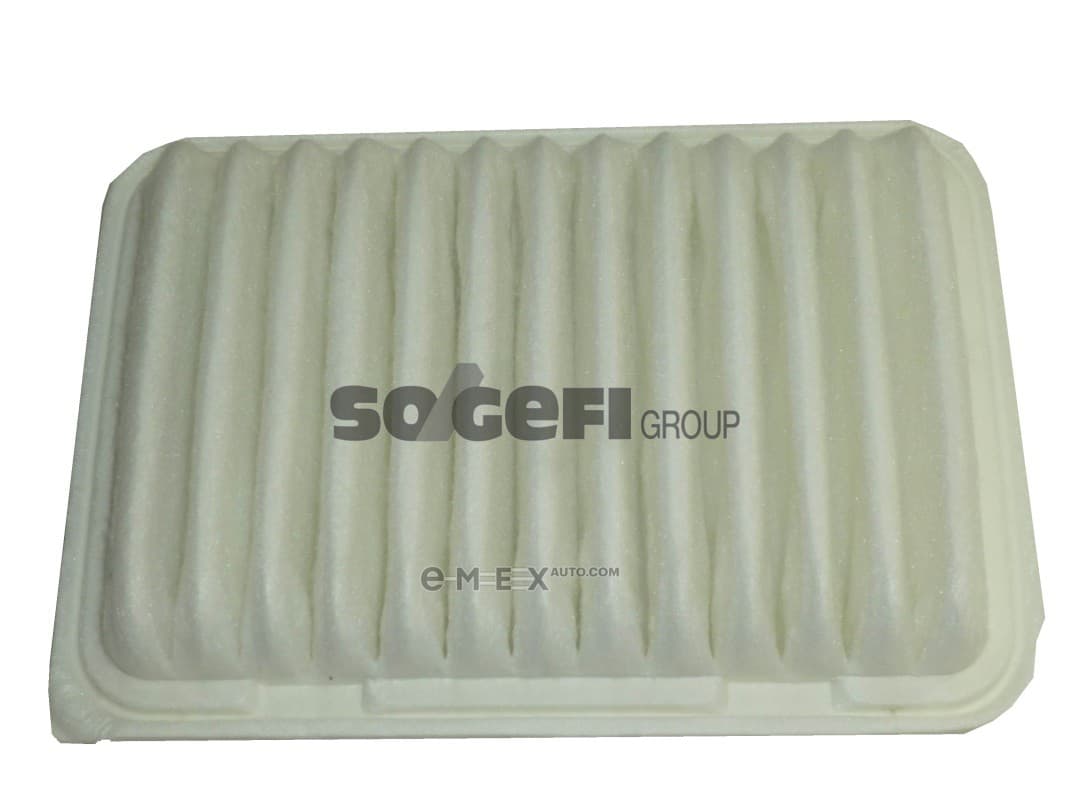 OEM FILTER ASSY, AIR ELEMENT A1262