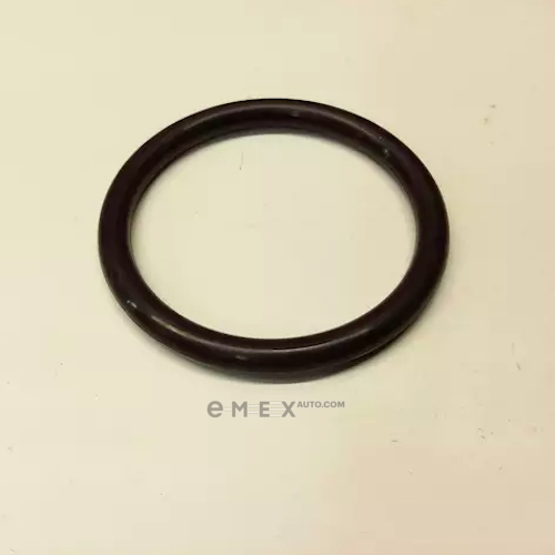 OEM RING, O 9676135031