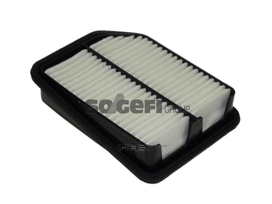 OEM FILTER ASSY, AIR ELEMENT A1245