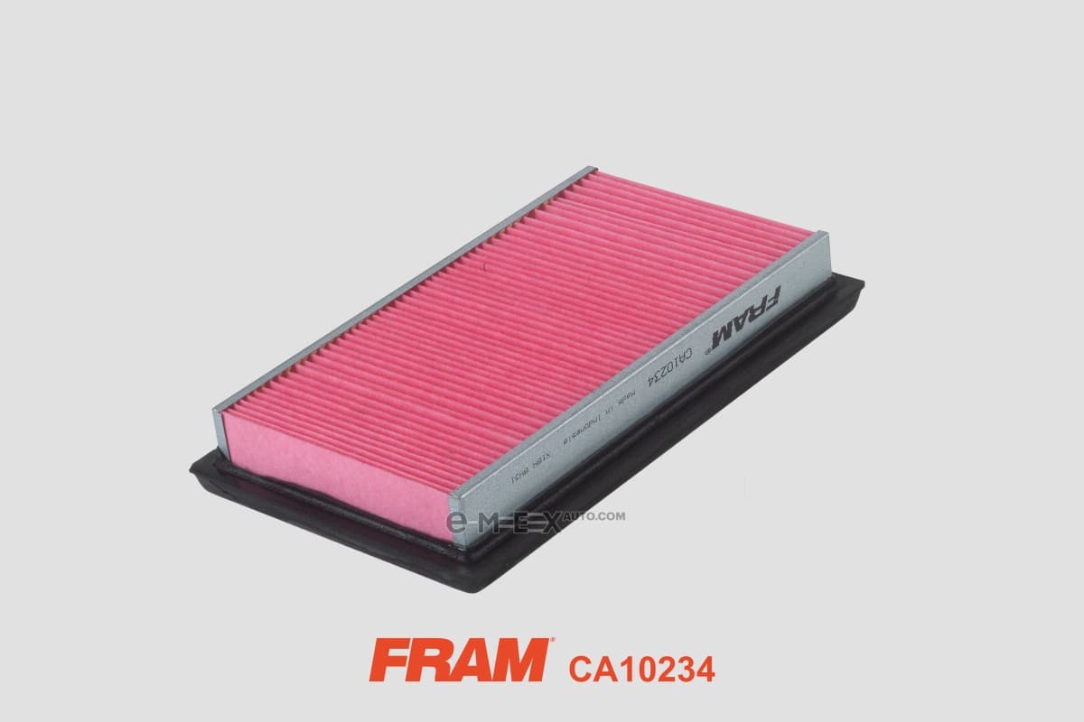 OEM AIR FILTER CA10234