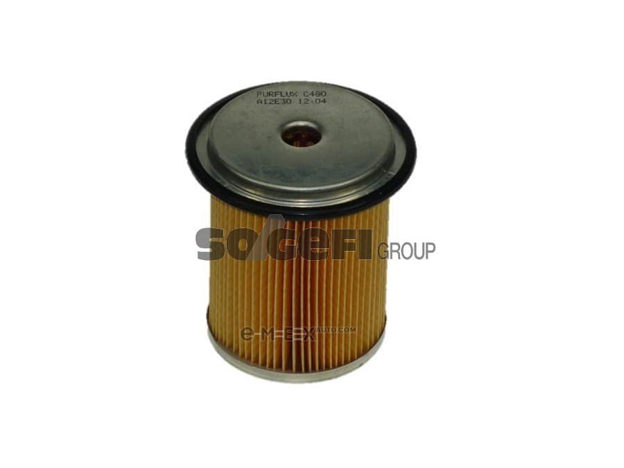 OEM FILTER ASSY, FUEL PUMP C480