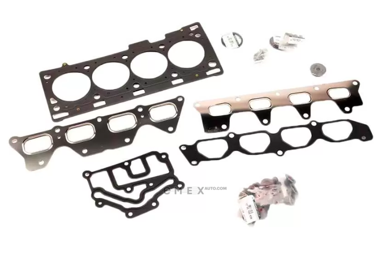 OEM GASKET KIT, ENGINE 101018942R