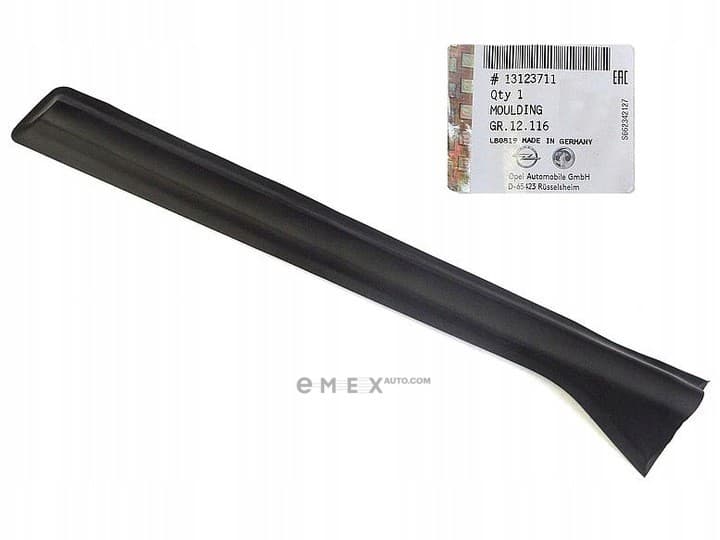 OEM COVER, CNTR PLR OTR RH 13123711