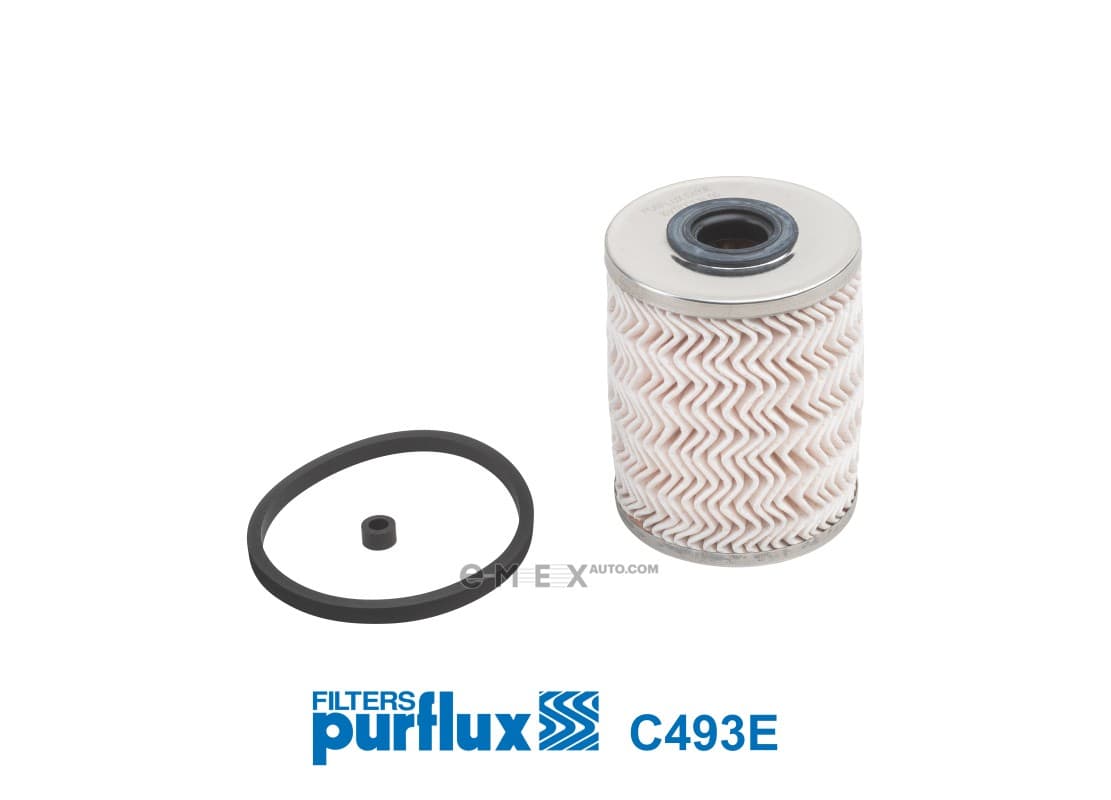 OEM FILTER ASSY, FUEL PUMP C493E