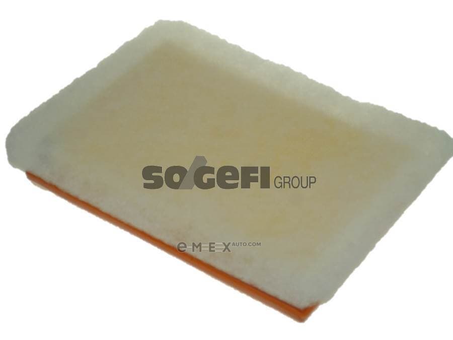 OEM FILTER ASSY, AIR ELEMENT A1228