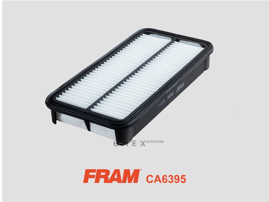 OEM AIR FILTER CA6395